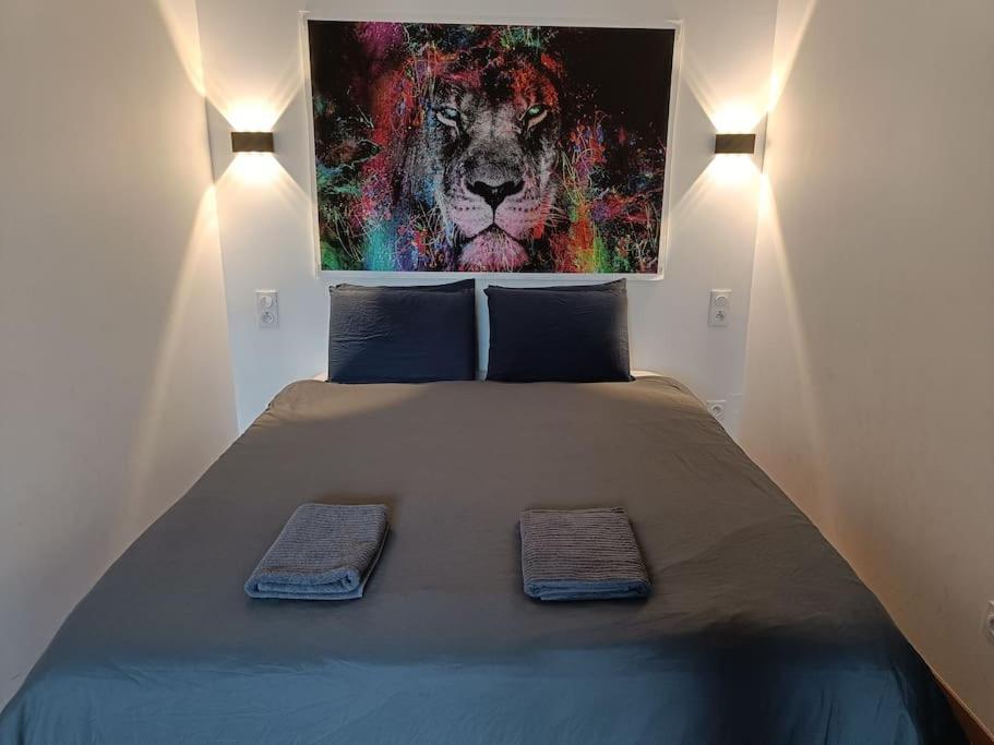 Appartement Confort Equipe Au Coeur De Béziers Dış mekan fotoğraf